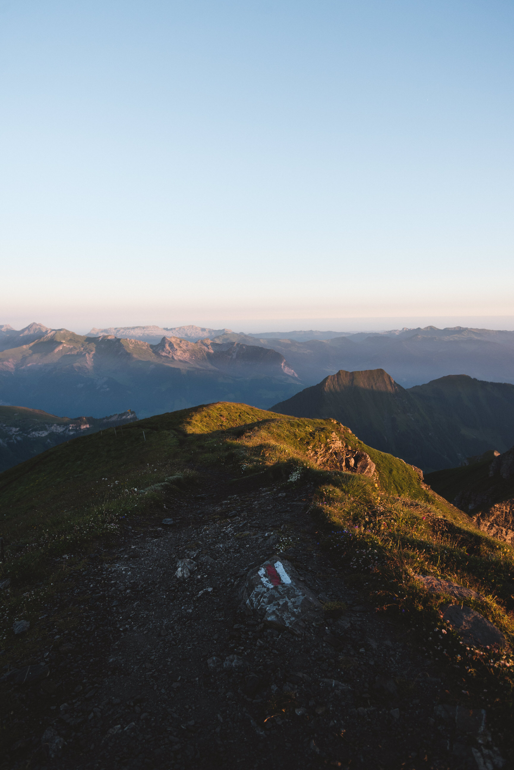 photo of summer sunrise